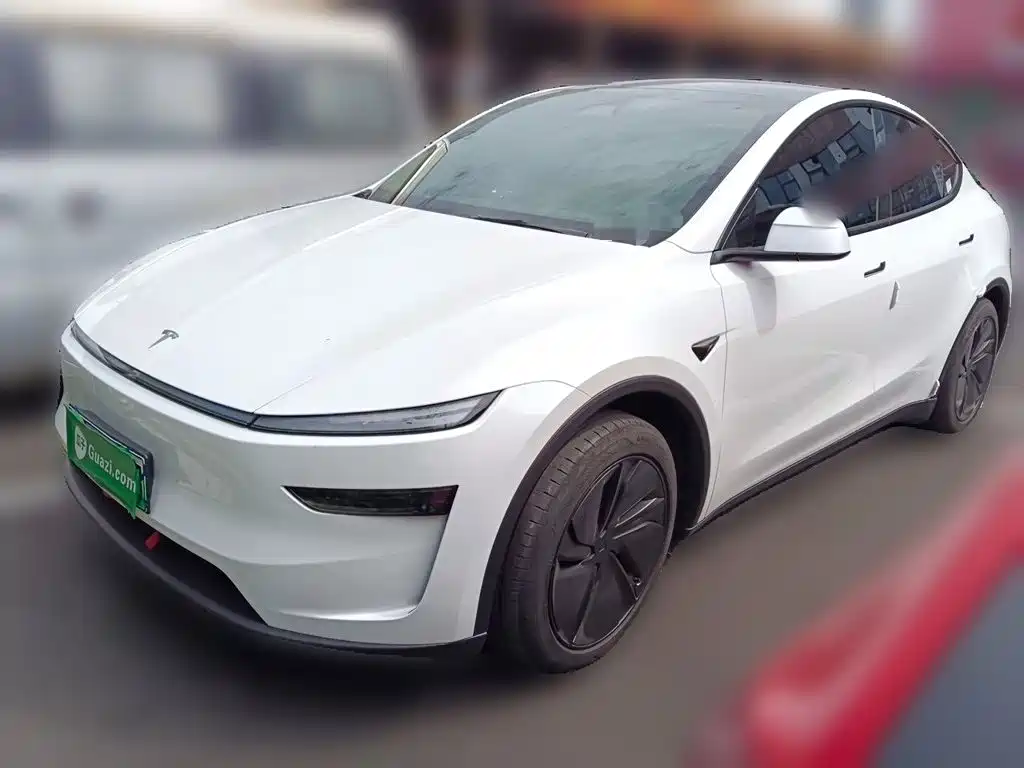 Tesla Model Y — миниатюра 2