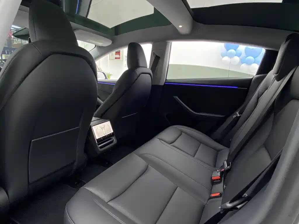 Tesla Model 3 — миниатюра 30