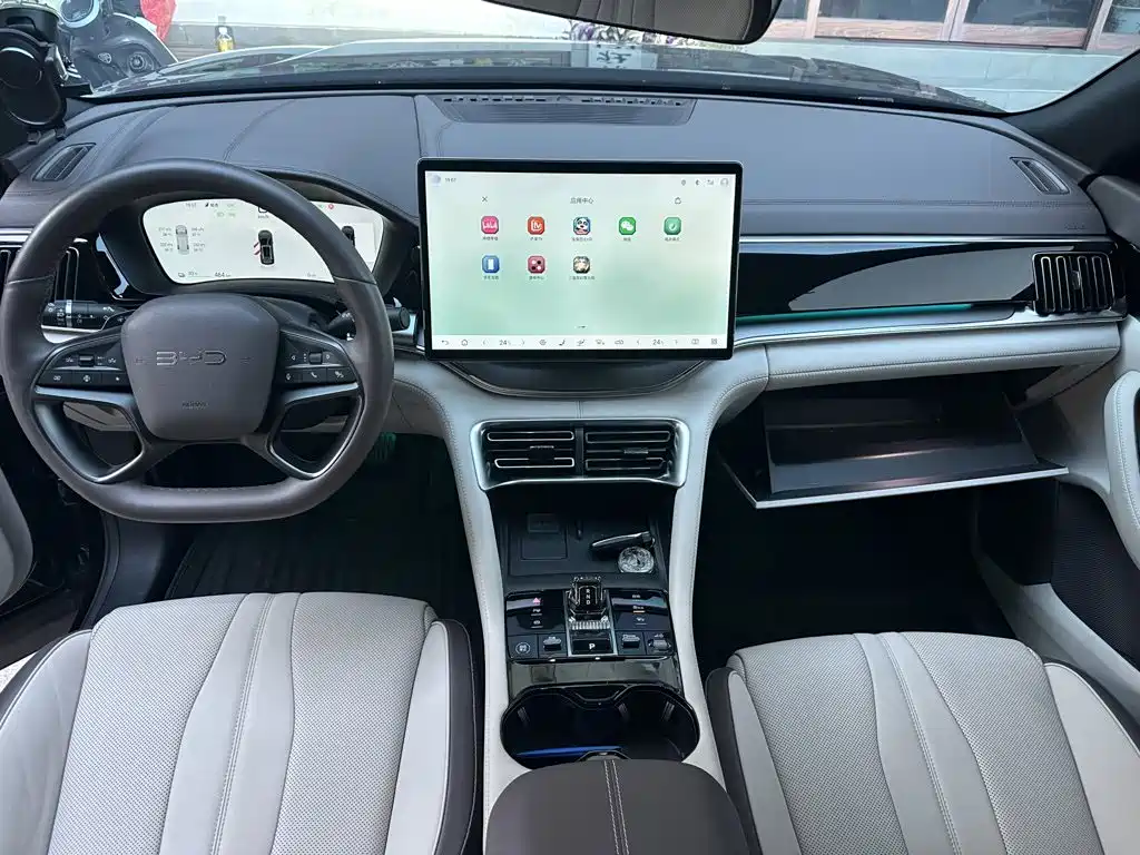BYD PLUS New Energy — миниатюра 7