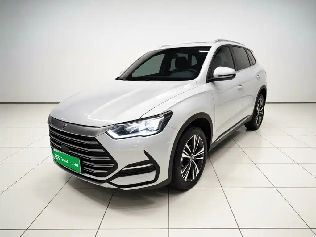BYD Pro New Energy