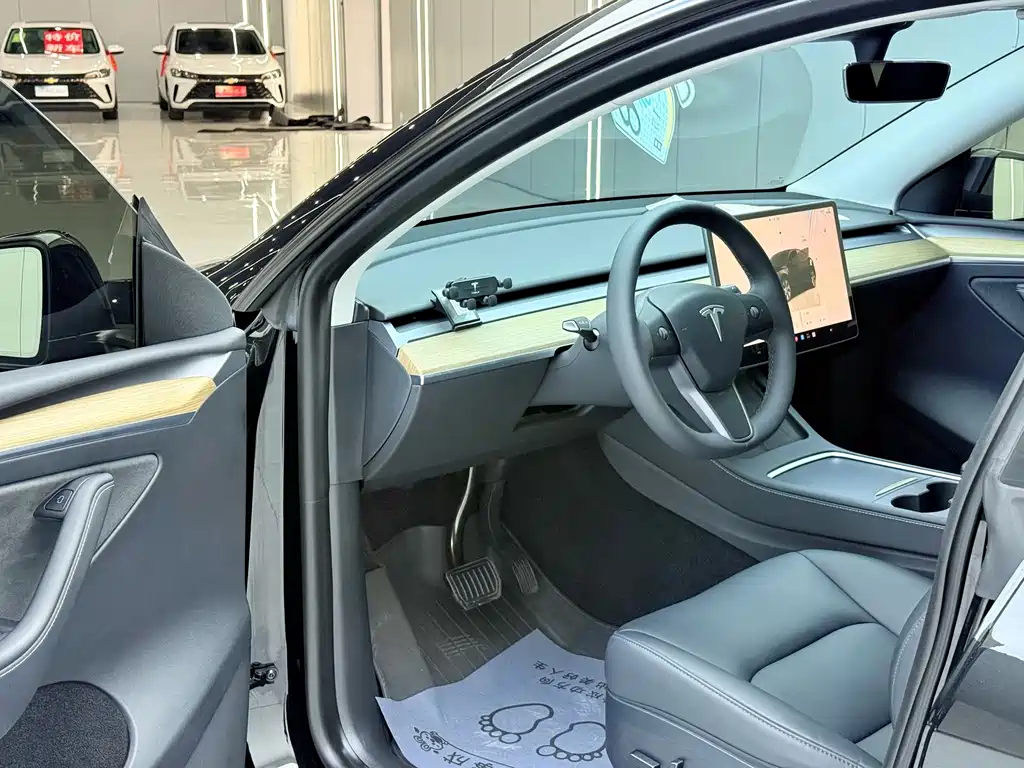 Tesla Model Y — миниатюра 4