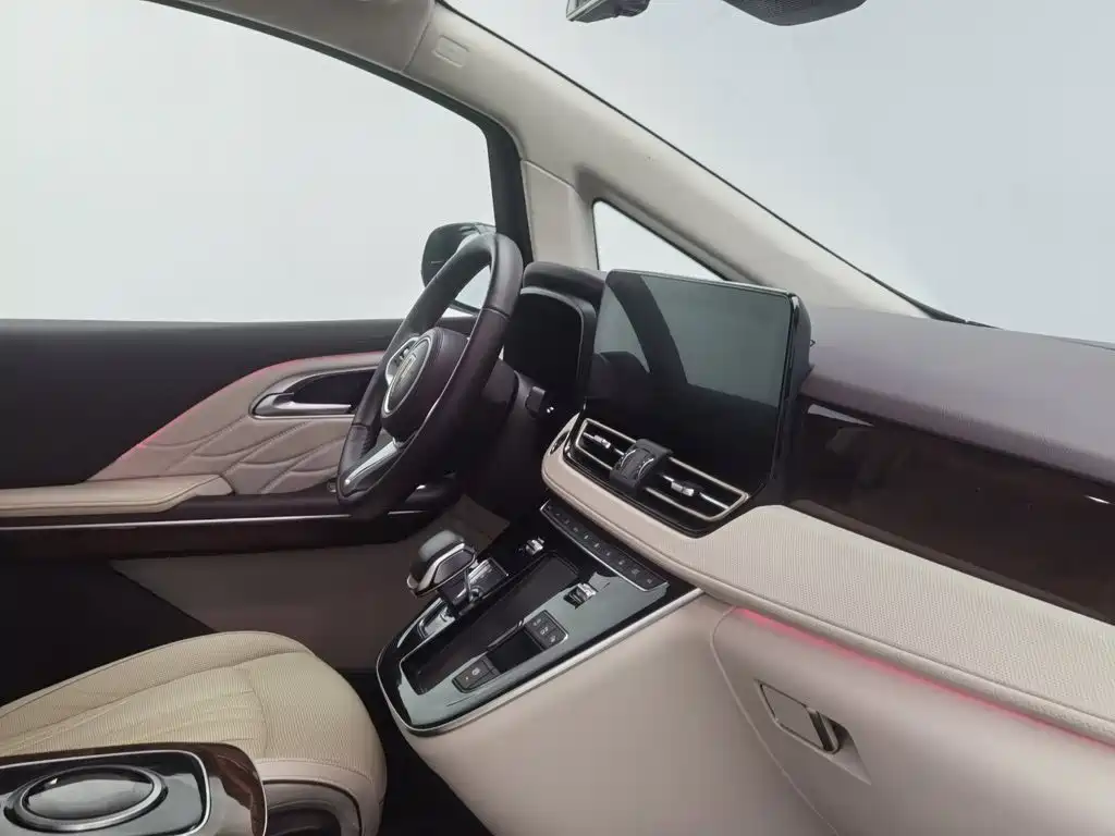 Hongqi Hongqi HQ9 — миниатюра 22