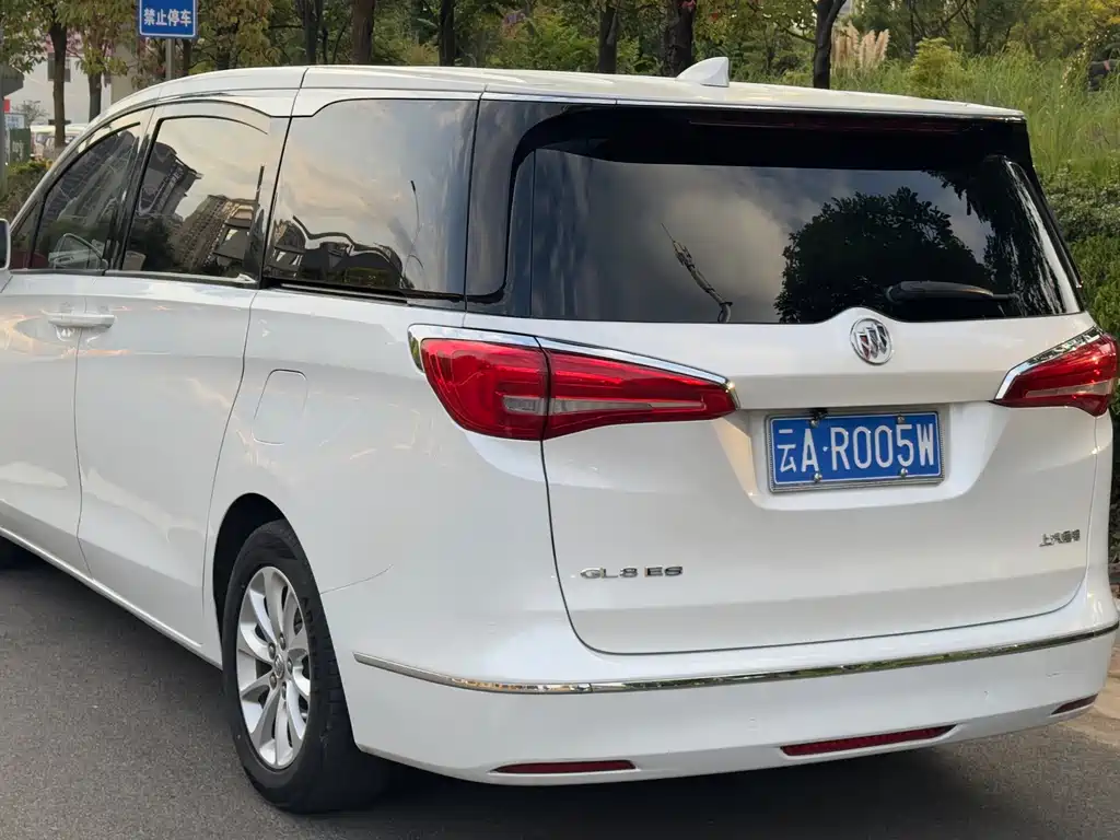 Buick GL8 — миниатюра 13
