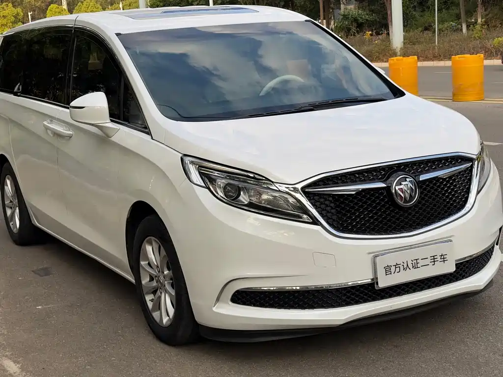 Buick GL8 — миниатюра 3