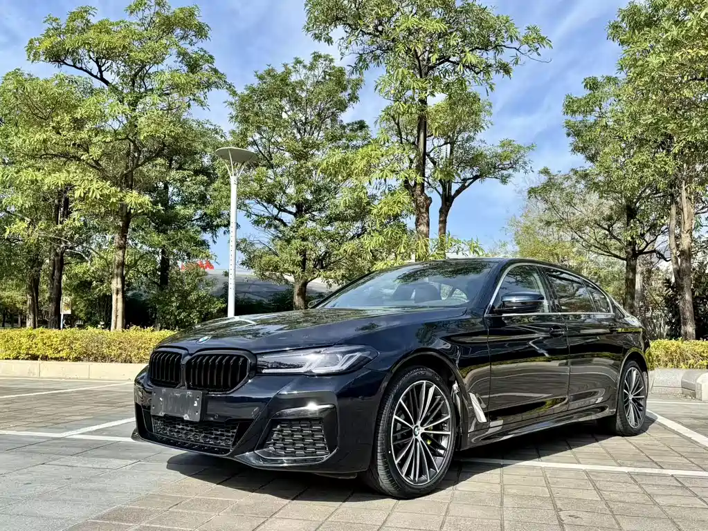 BMW 5 SERIES