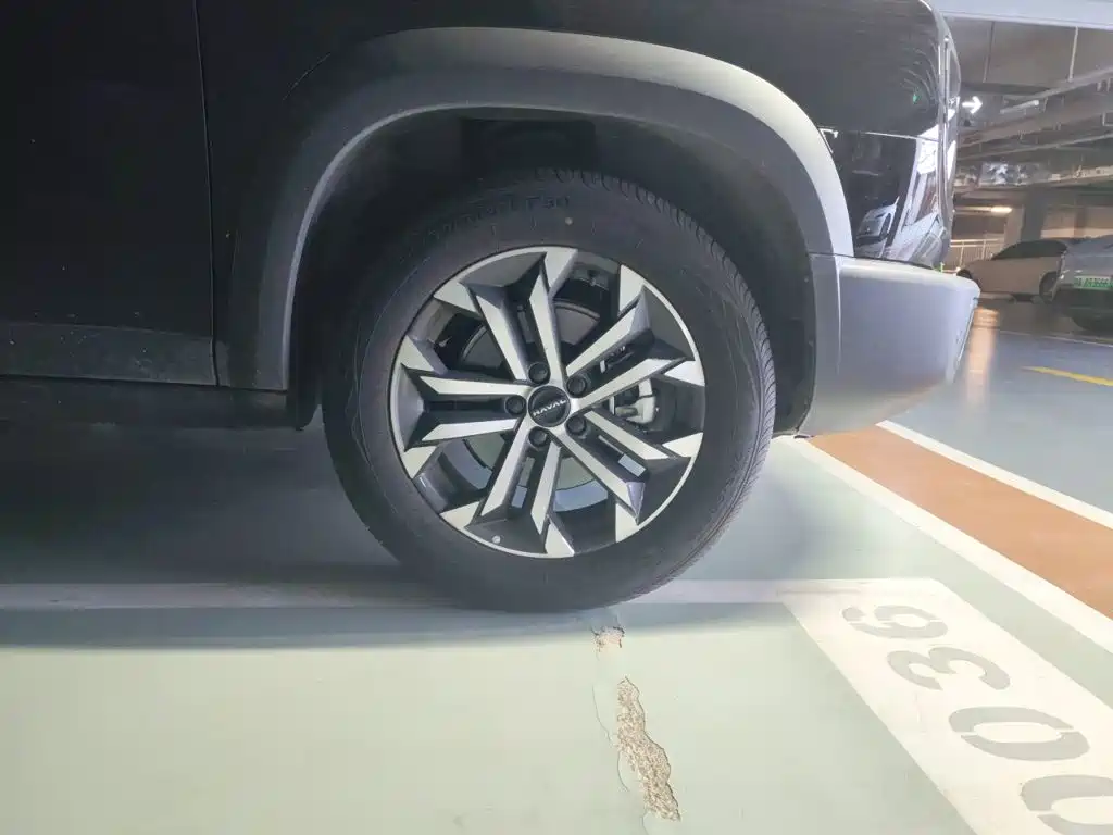 Haval Big Dog — миниатюра 8