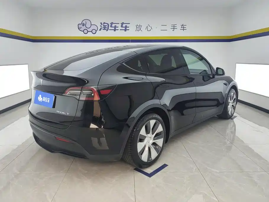 Tesla Model Y — миниатюра 3