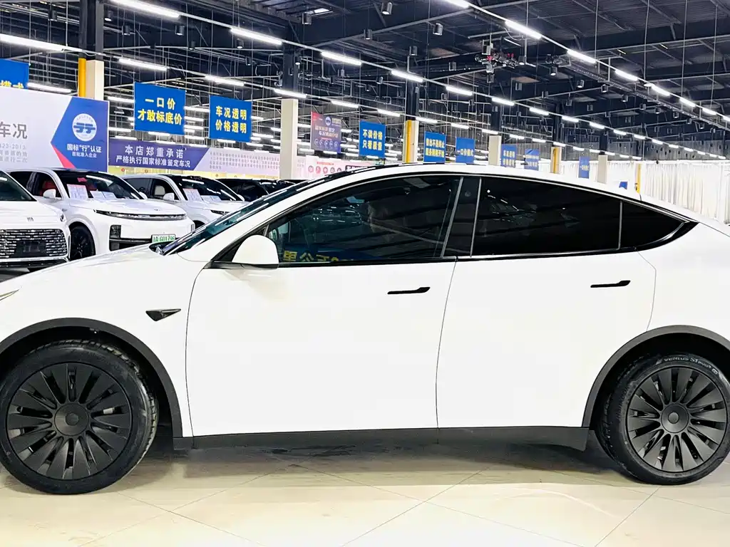 Tesla Model Y — миниатюра 5