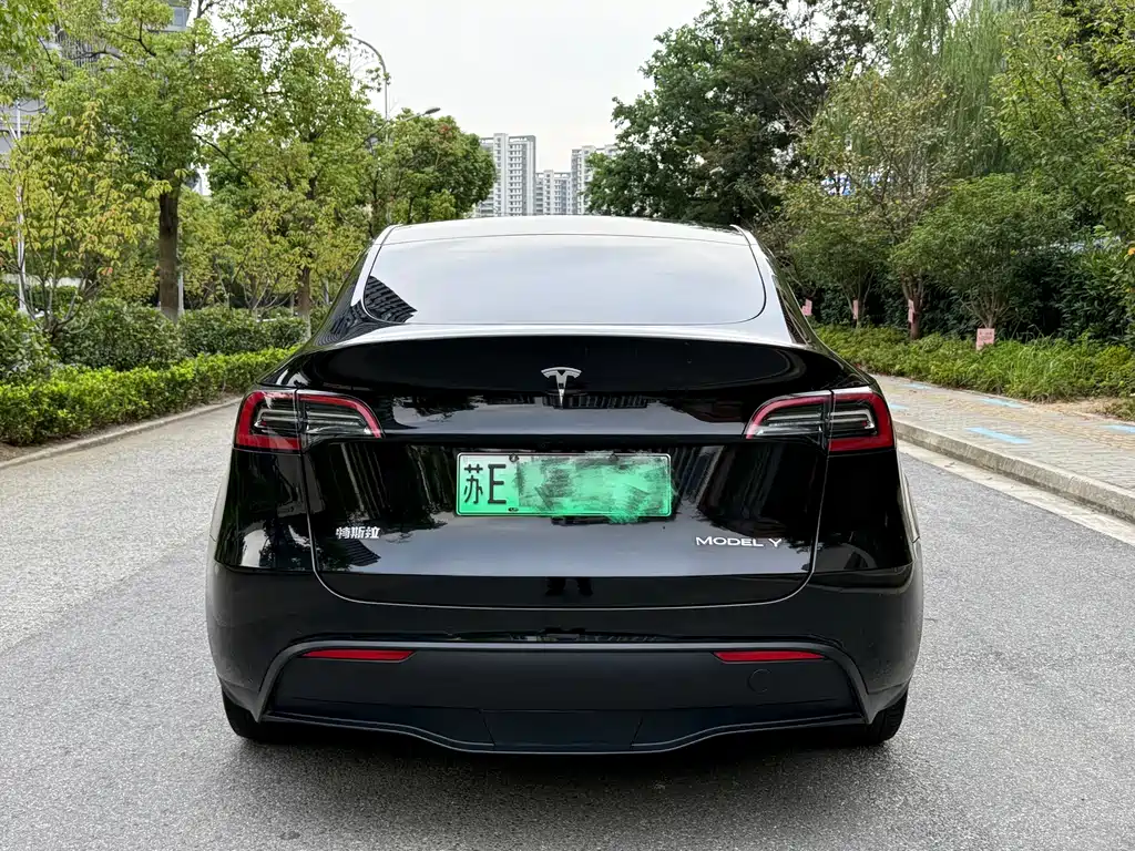 Tesla Model Y — миниатюра 5