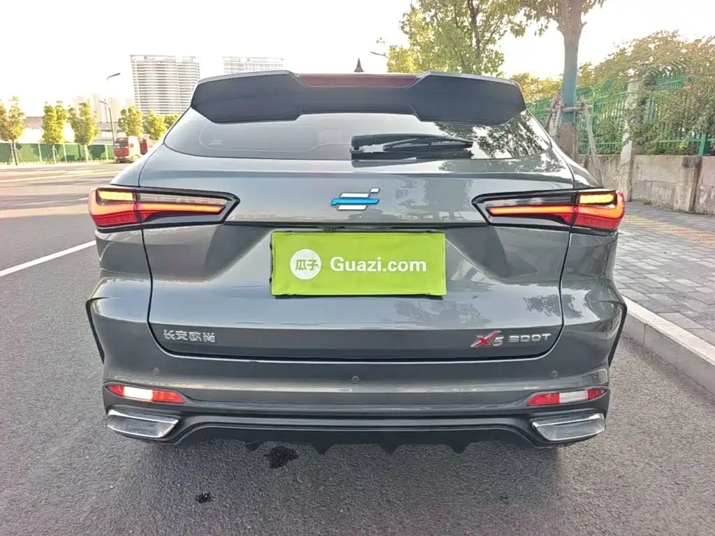 Oshan Oushang X5 — миниатюра 6