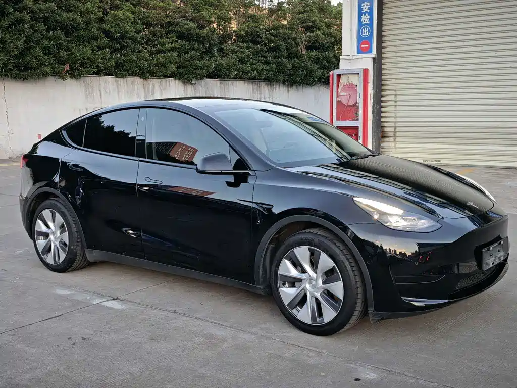 Tesla Model Y — миниатюра 3