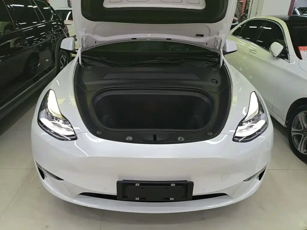 Tesla Model Y — миниатюра 20