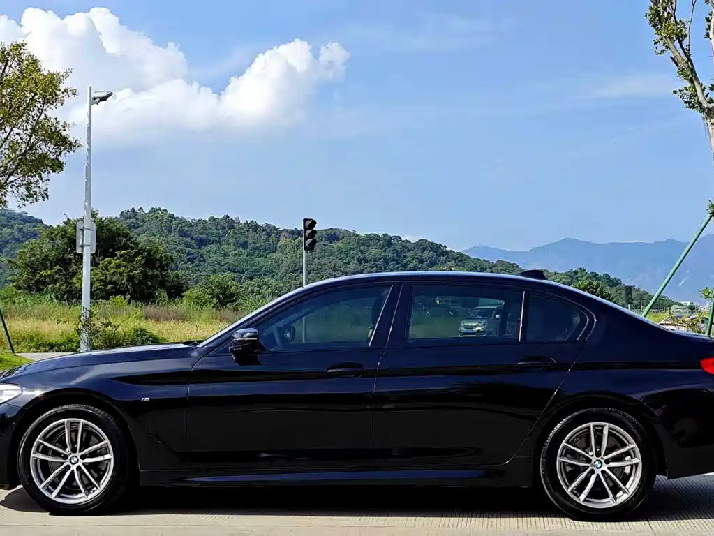 BMW 5 Series — миниатюра 3