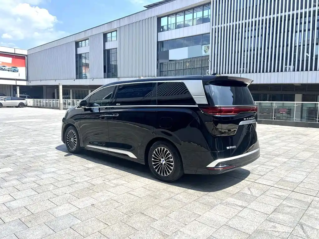 Denza Denza D9 — миниатюра 6