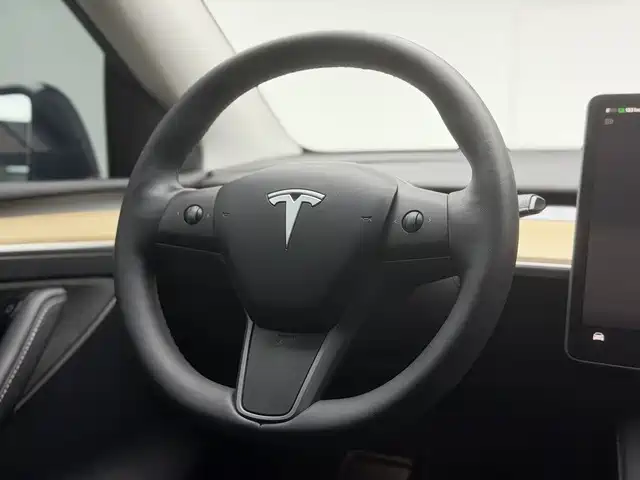Tesla Model Y — миниатюра 12