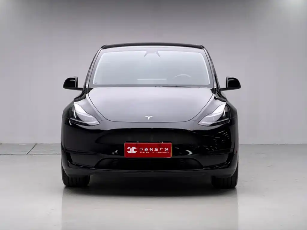 Tesla Model Y — миниатюра 4