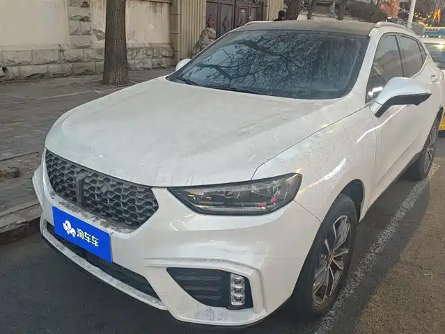 WEI PAI WEI BRAND VV5