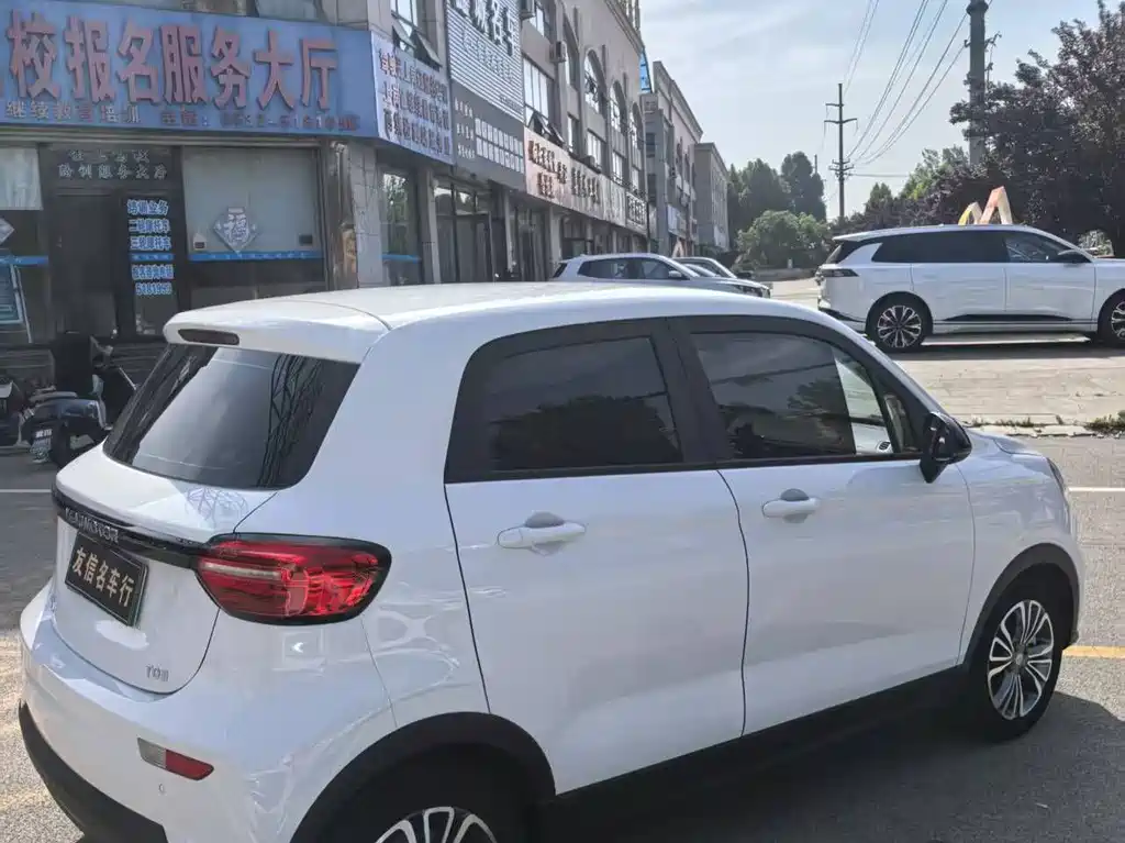 Leapmotor T03 2024 310