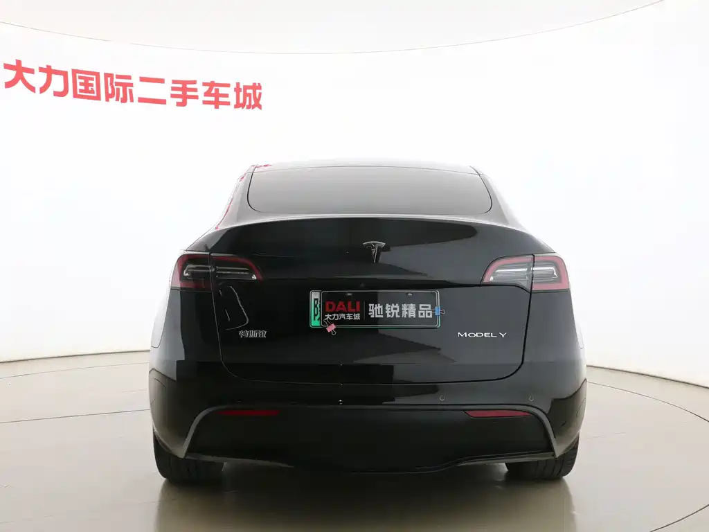 Tesla Model Y — миниатюра 8