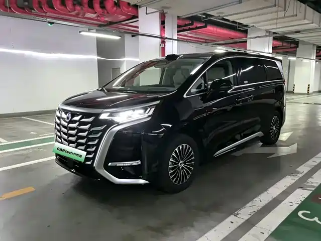 2025 Denza D9