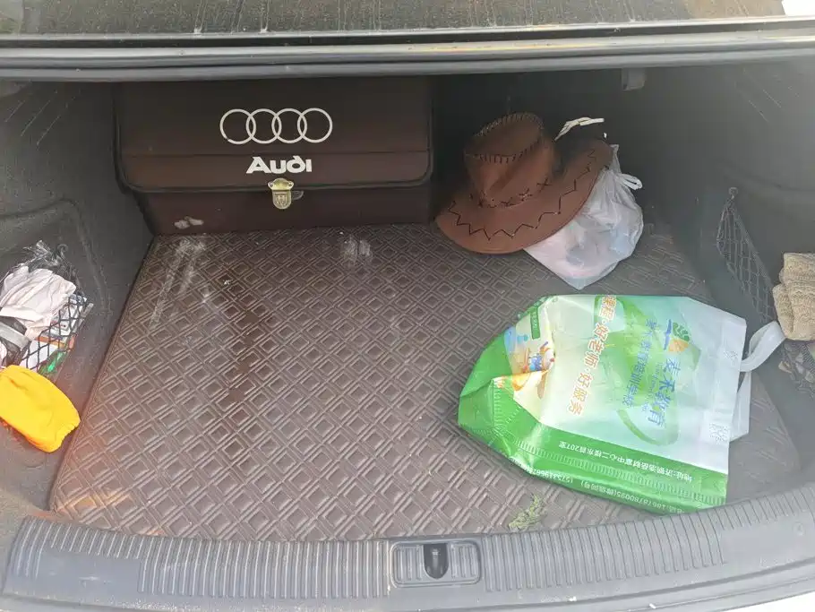 Audi A4L — миниатюра 4