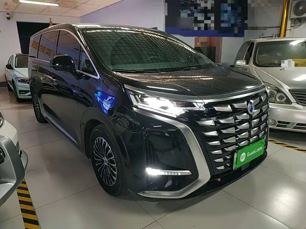 Denza Denza D9 — миниатюра 4
