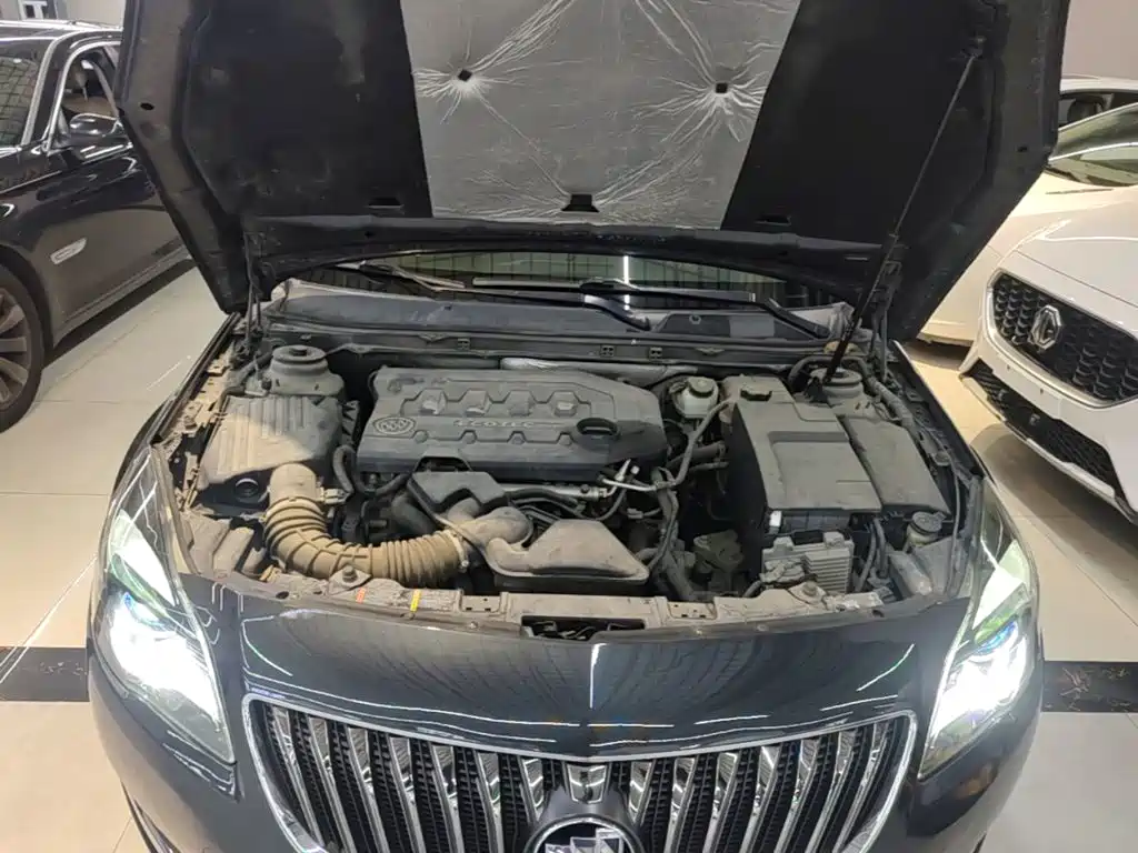 Buick Regal — миниатюра 20