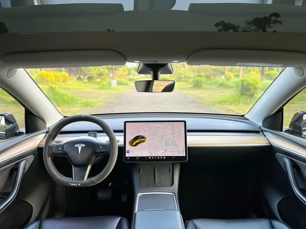 Tesla Model Y — миниатюра 10