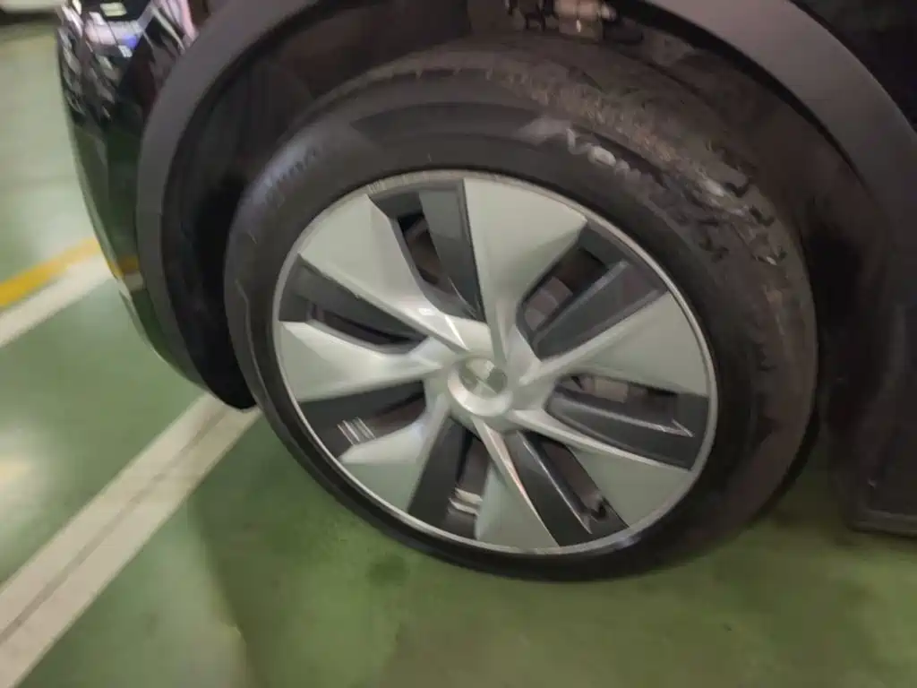 Tesla Model Y — миниатюра 23