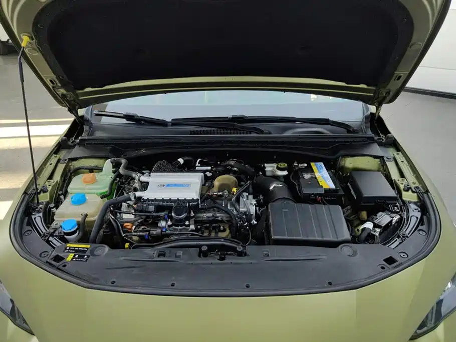 GAC Motor Shadow Leopard — миниатюра 10
