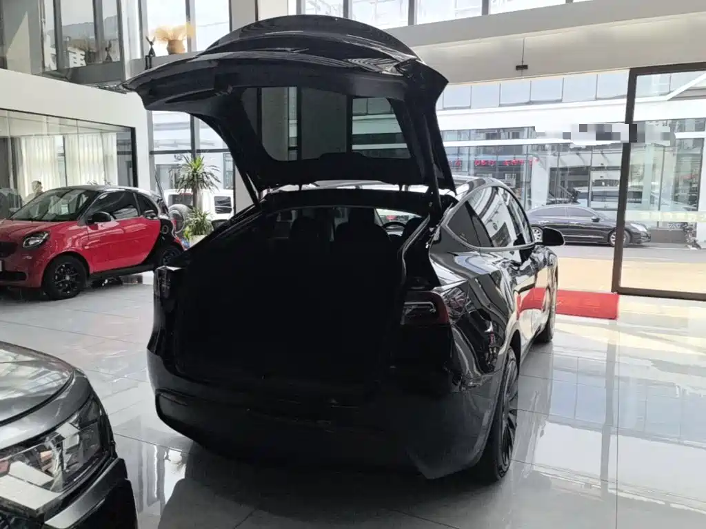Tesla Model Y — миниатюра 19