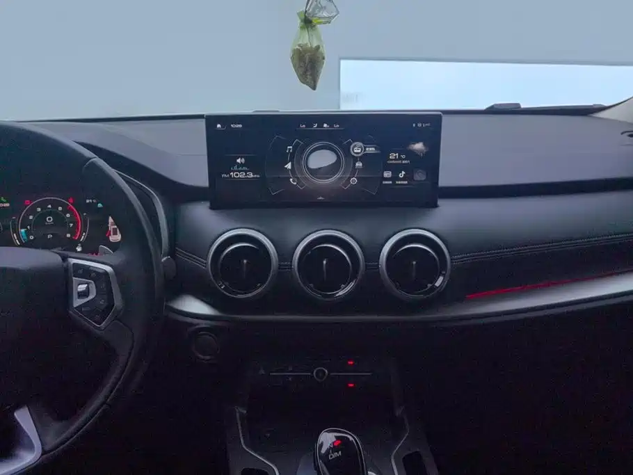 Wey Wey VV6 — миниатюра 13