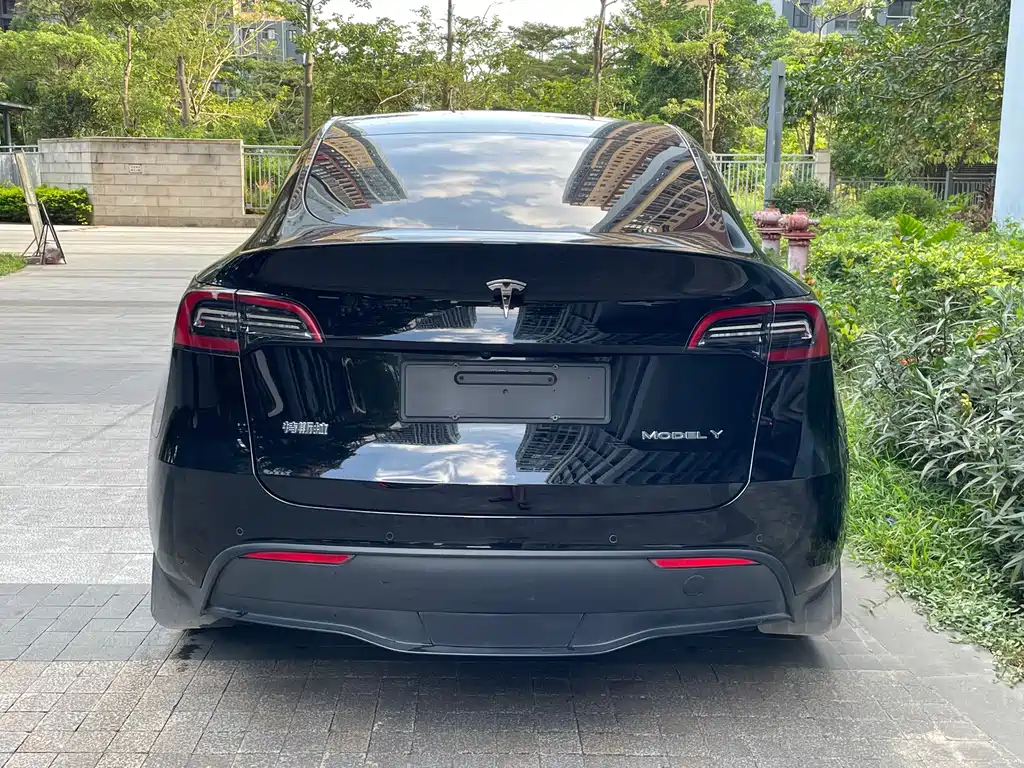 Tesla Model Y — миниатюра 4