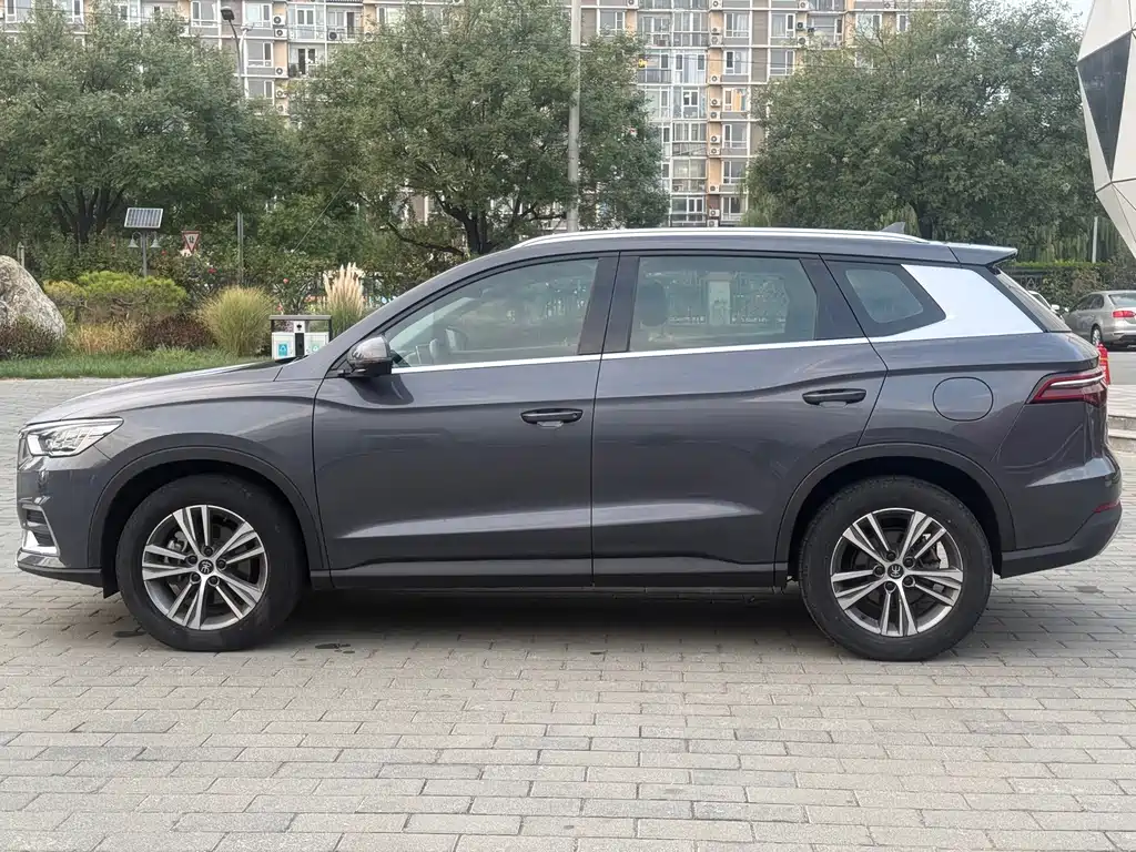 BYD Pro — миниатюра 7