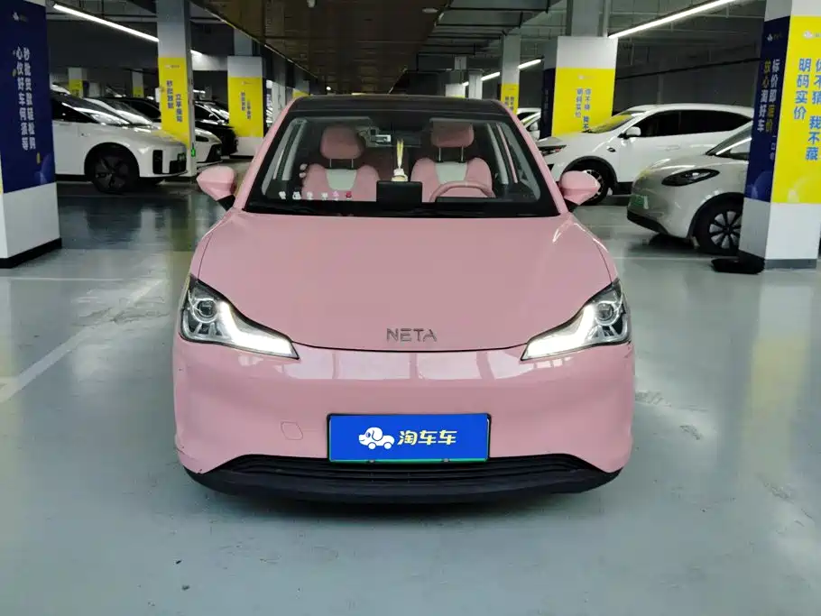 Neta Neta V — миниатюра 2