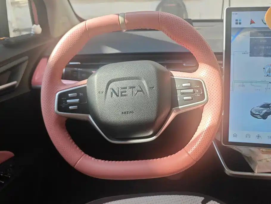 Neta Neta V — миниатюра 15