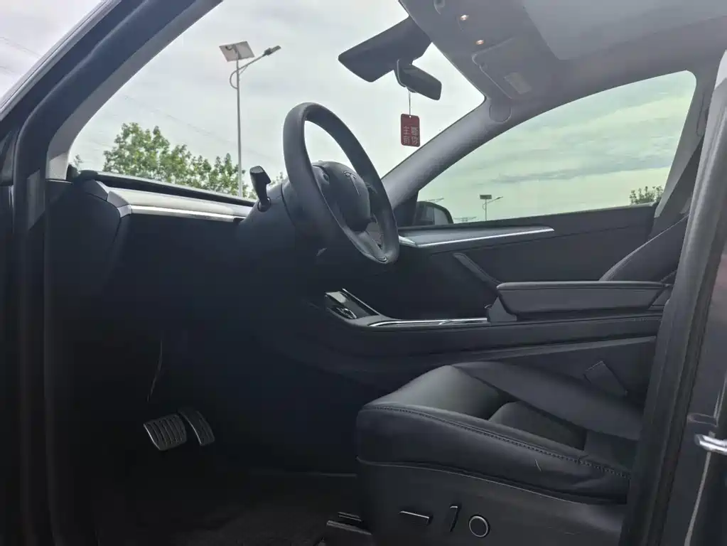 Tesla Model Y — миниатюра 6