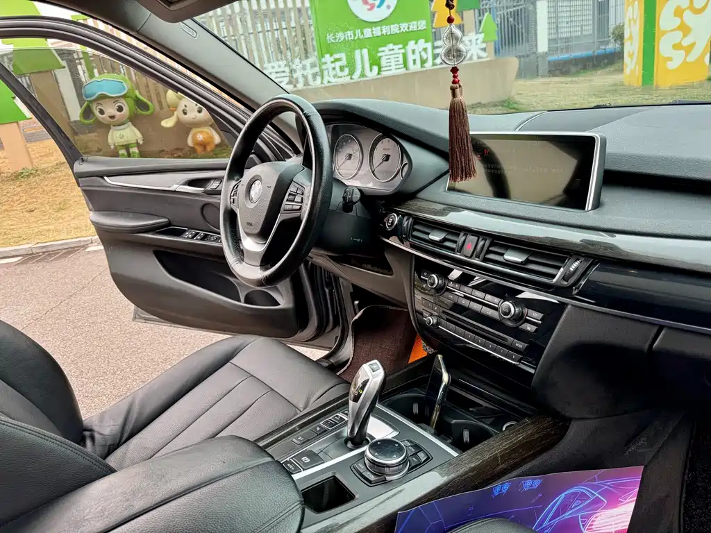BMW X5 (Import) — миниатюра 8