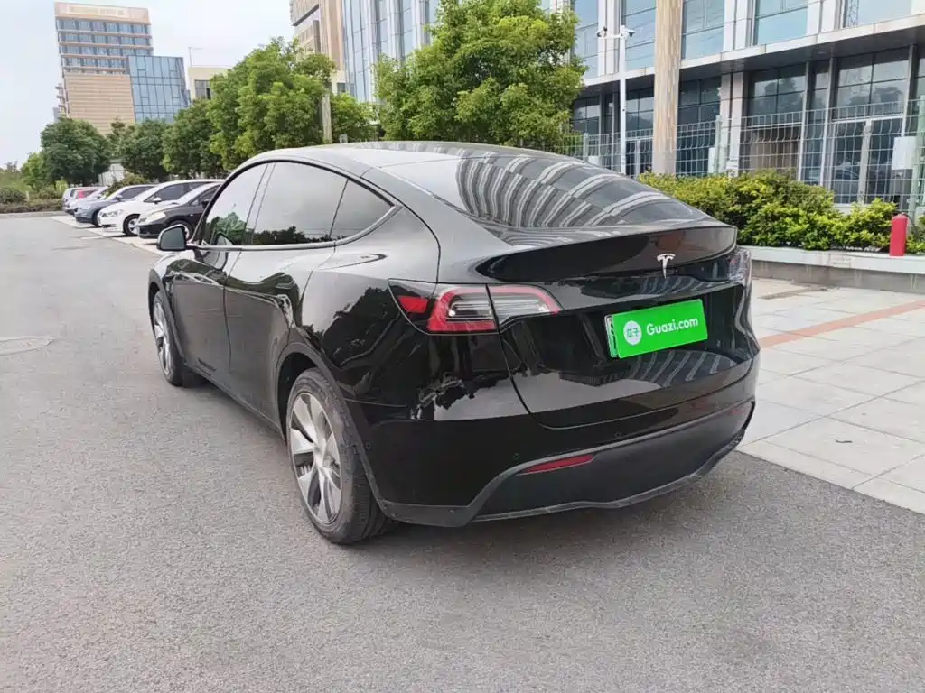 Tesla Model Y — миниатюра 5