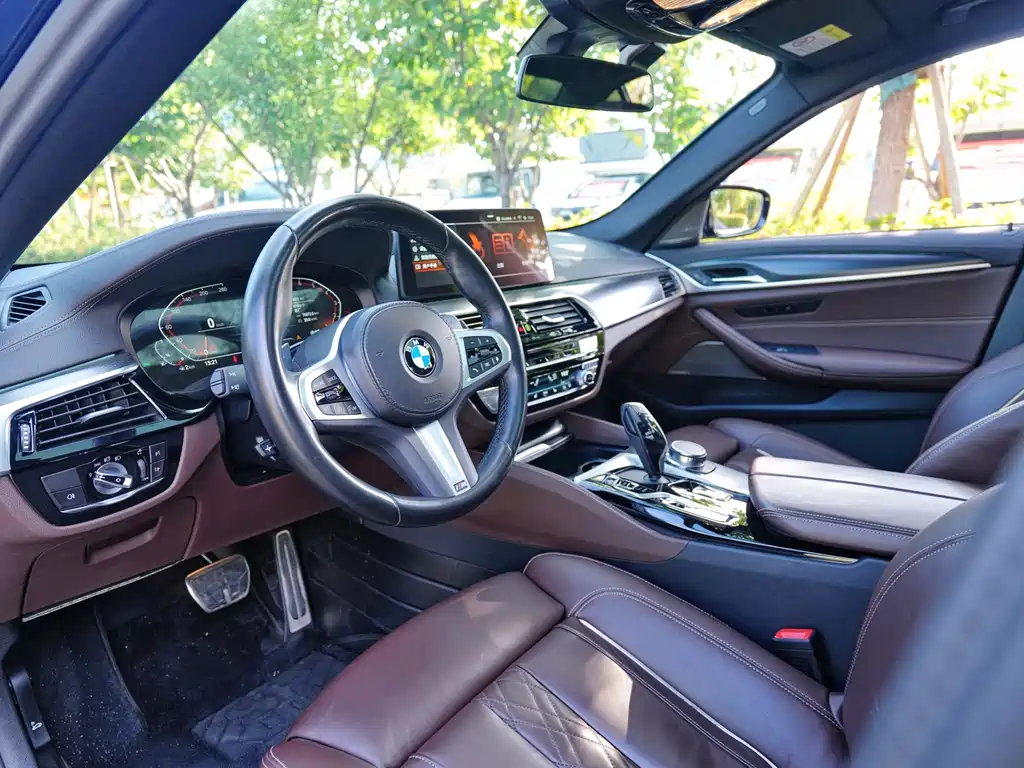 BMW 5 Series (Import) — миниатюра 5