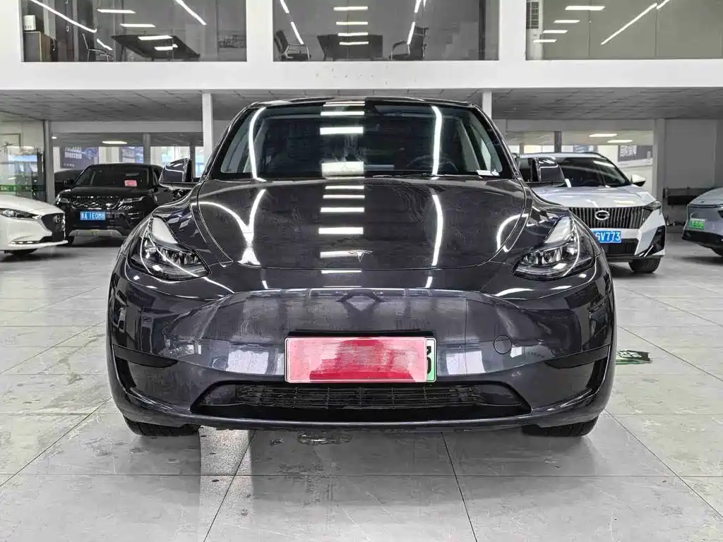 Tesla Model Y — миниатюра 2