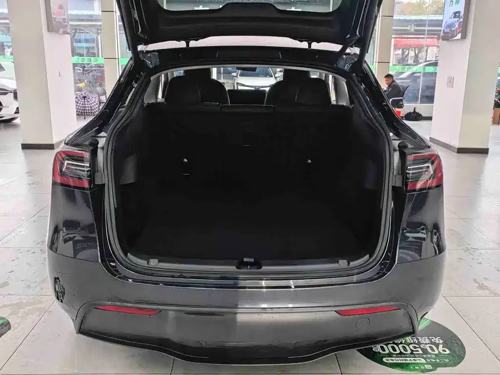 Tesla Model Y — миниатюра 15