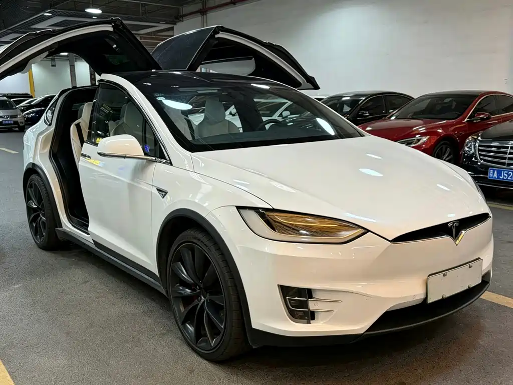 Tesla Model X — миниатюра 2