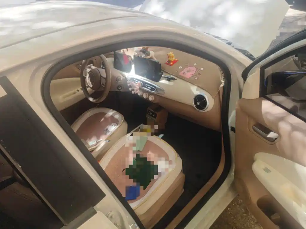 Wuling MINIEV — миниатюра 19