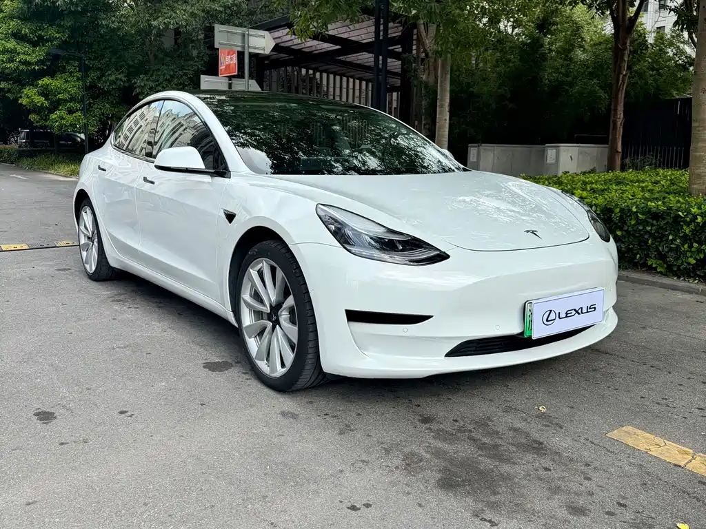 Tesla Model 3 — миниатюра 3