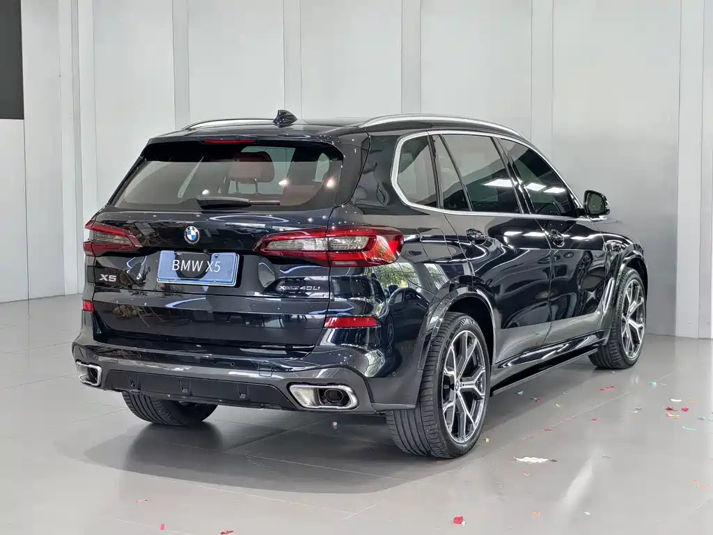 BMW X5 — миниатюра 3