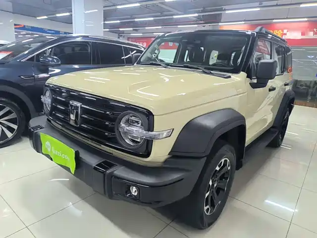 2025 TANK 300