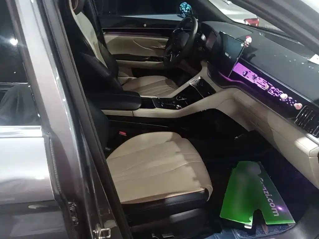 BYD PLUS New Energy — миниатюра 25