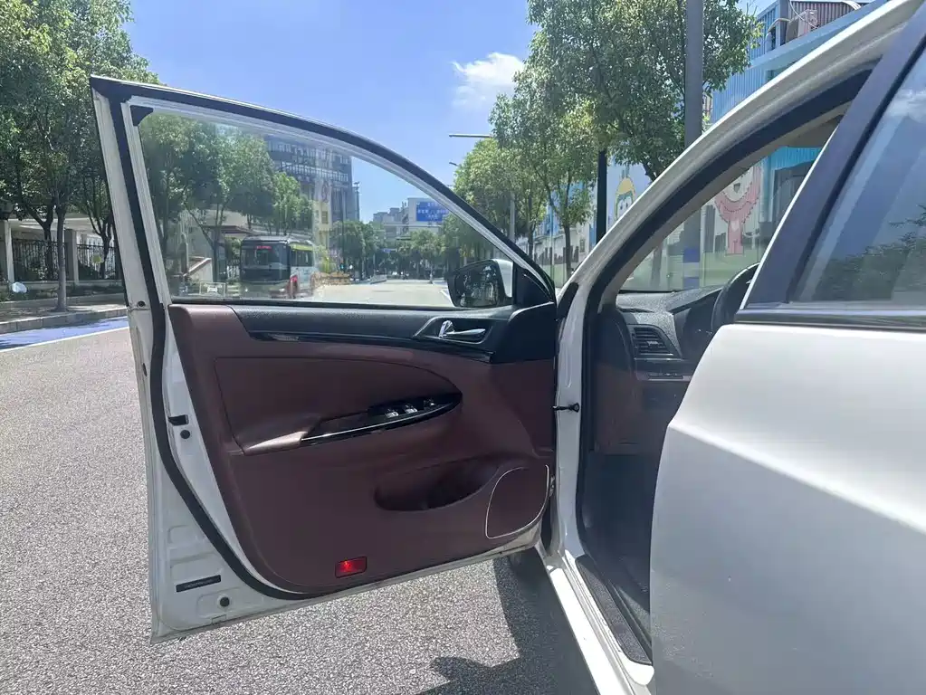 BYD Surui — миниатюра 17