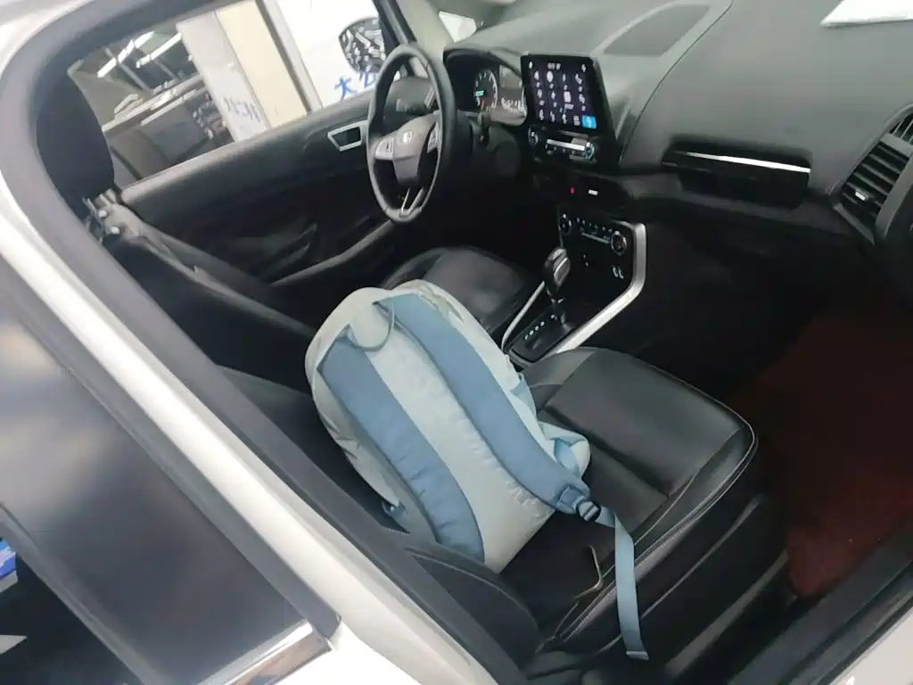 Ford Ecosport — миниатюра 25